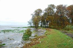 DSC_3837.JPG